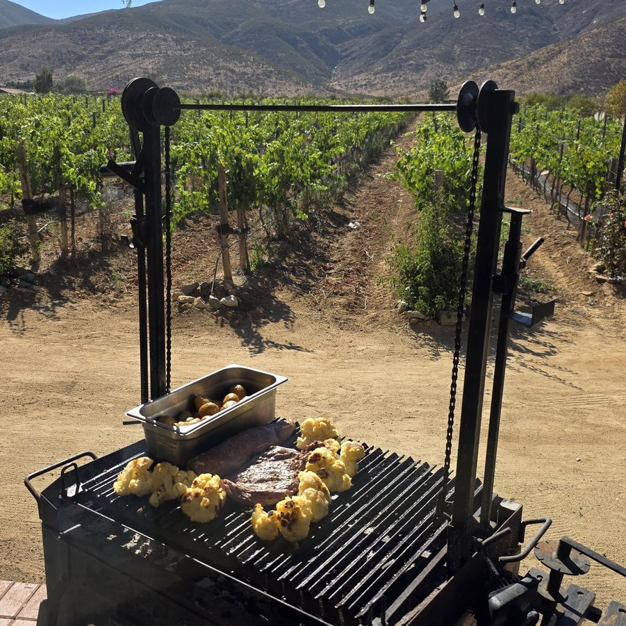 Tour Collection en el Valle de Guadalupe