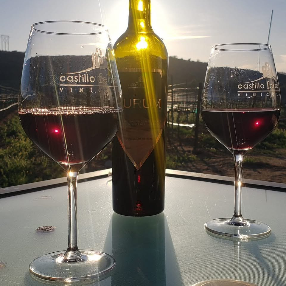 Tour Deluxe en el Valle de Guadalupe
