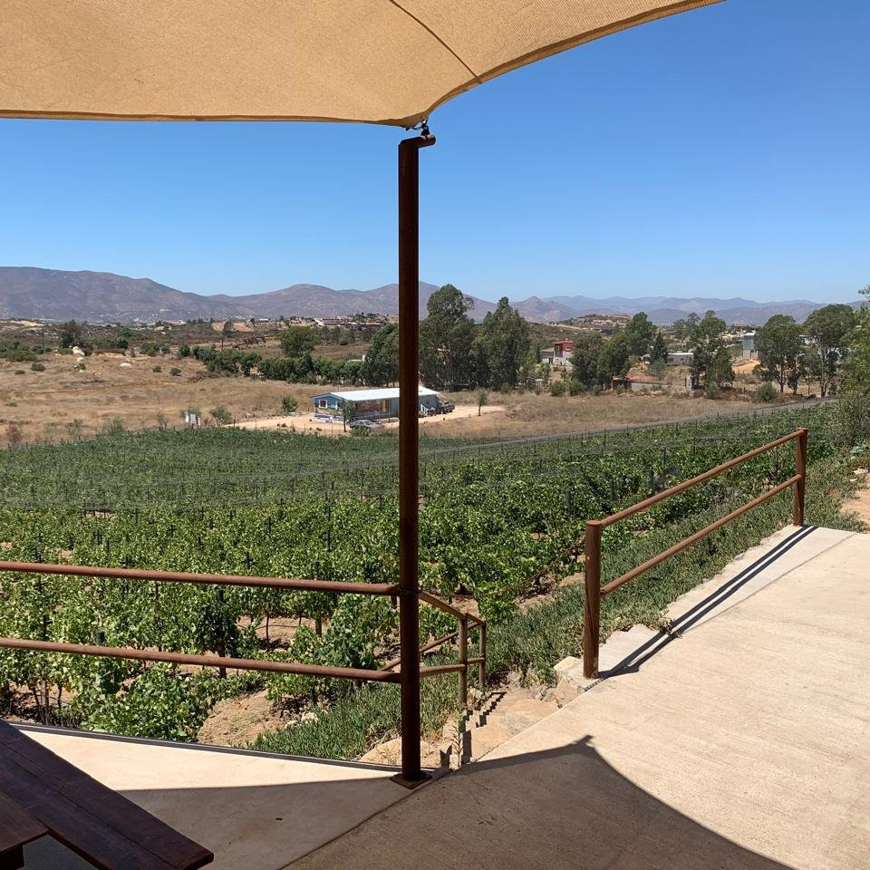 Tour Deluxe en el Valle de Guadalupe