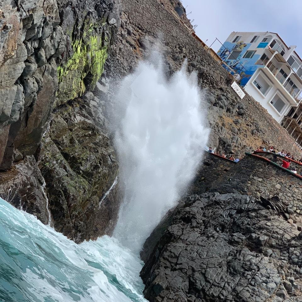 Tour Escapes: La Bufadora y Ensenada