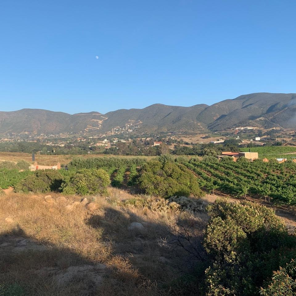 Tour High Style en el Valle de Guadalupe