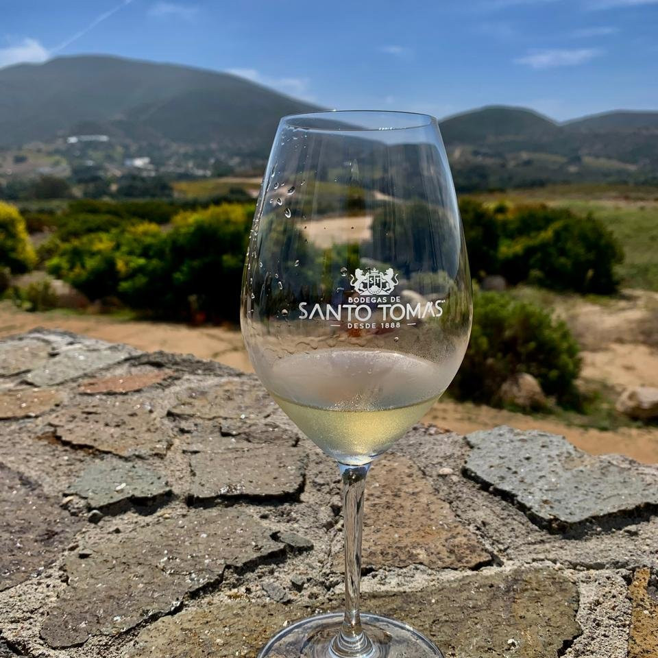 Tour High Style en el Valle de Guadalupe