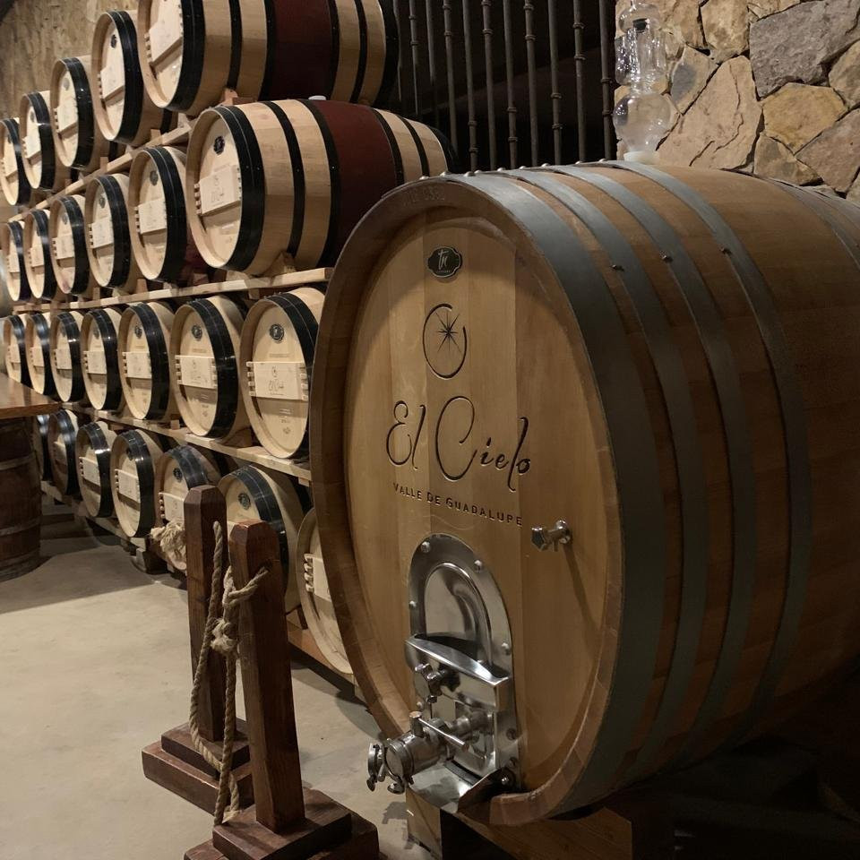 Tour Oro en el Valle de Guadalupe