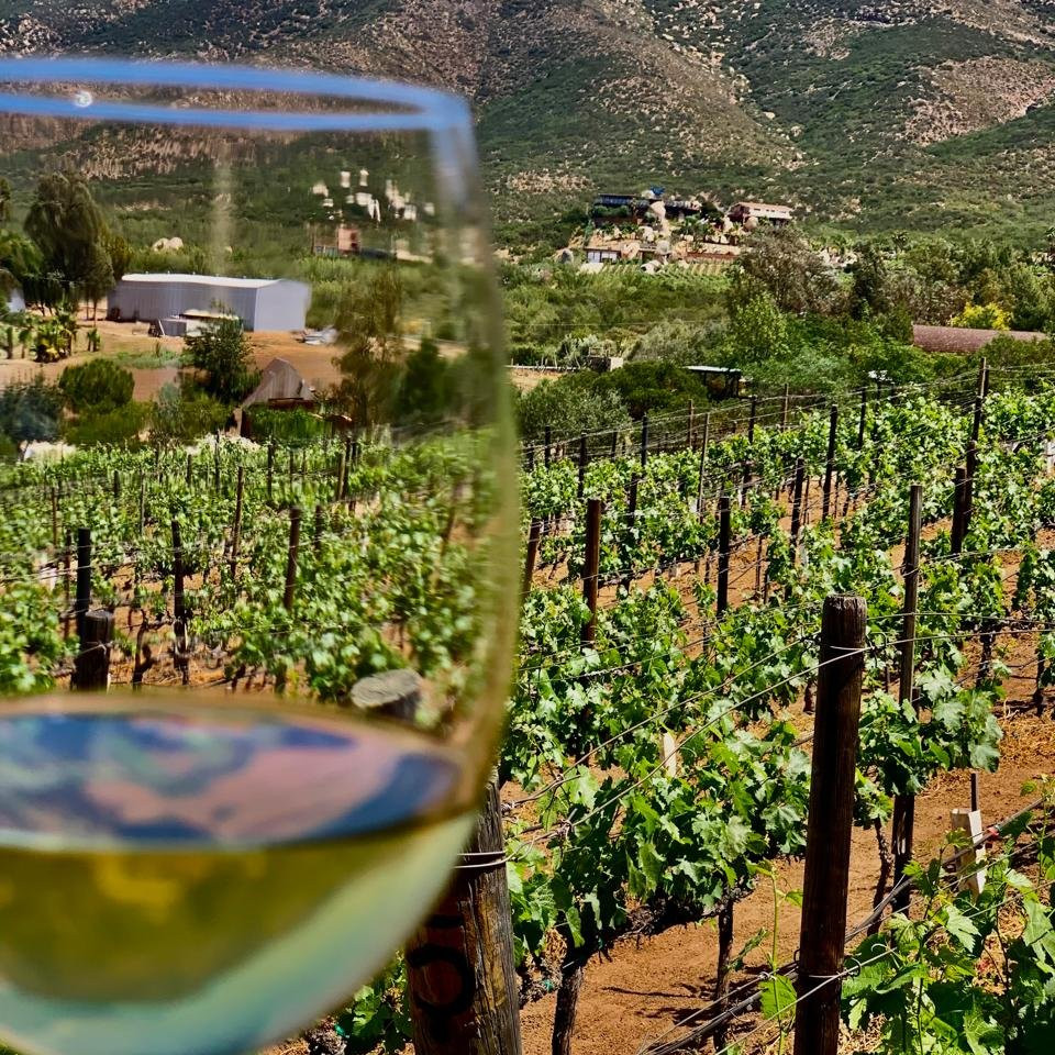 Tour Platinum en el Valle de Guadalupe