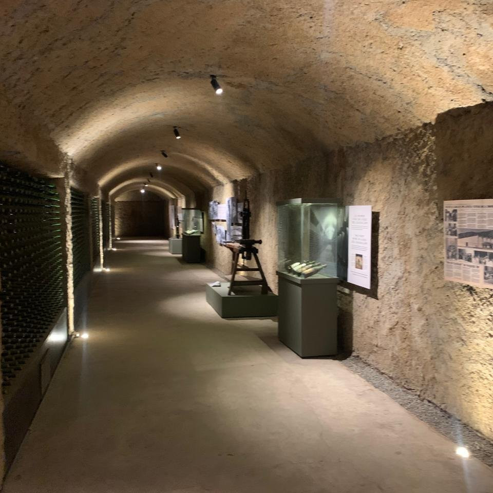 Tour Premiere en el Valle de Guadalupe