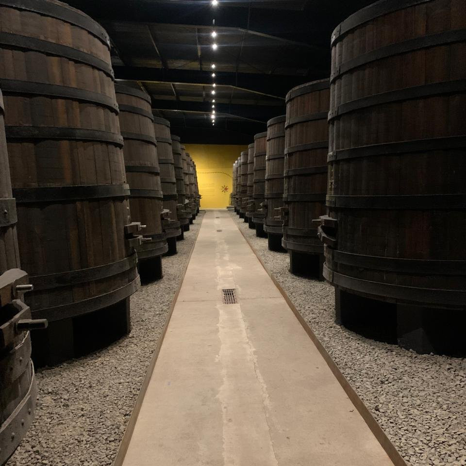 Tour Premiere en el Valle de Guadalupe