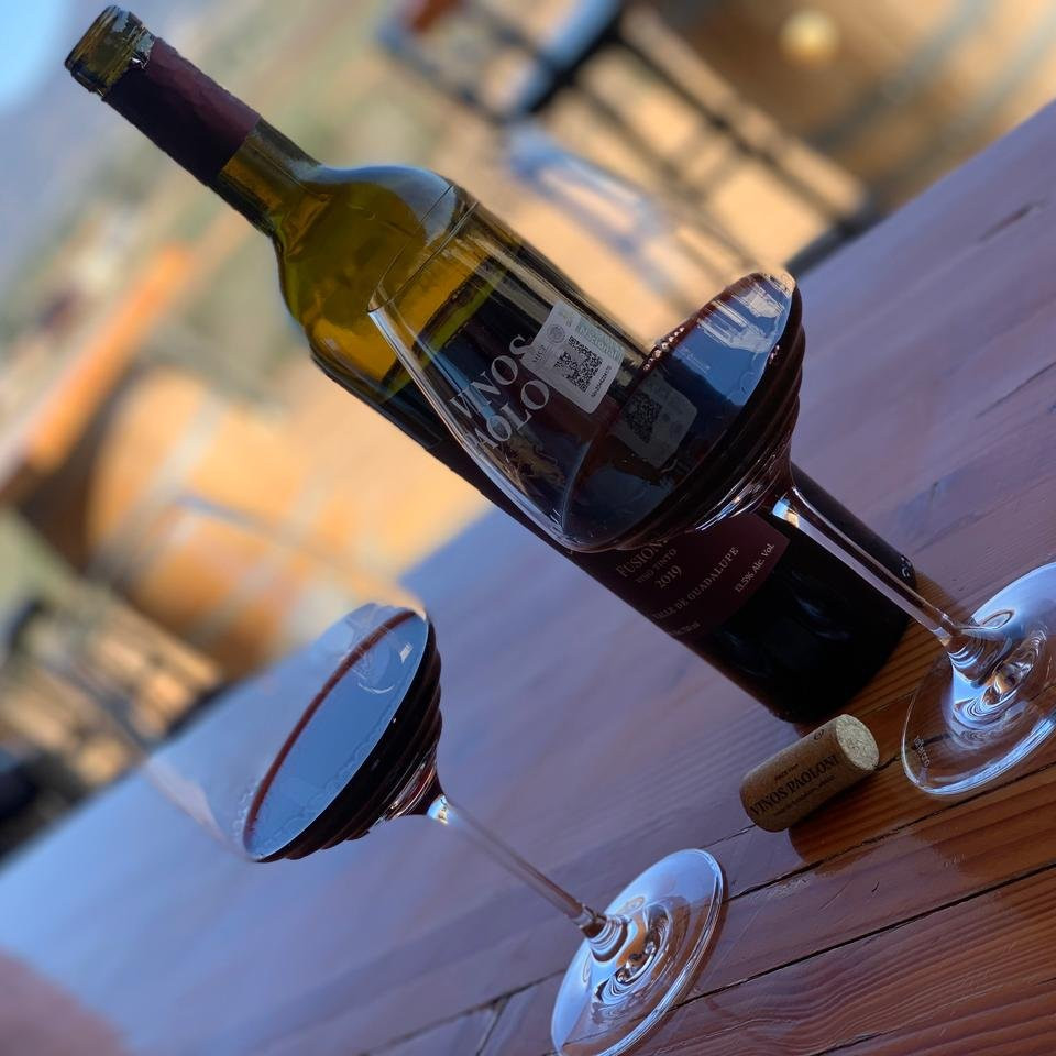 Tour Premiere en el Valle de Guadalupe