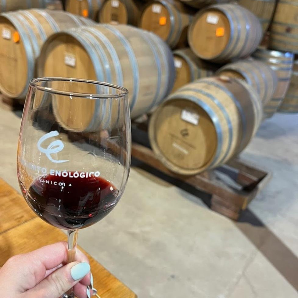 Tour Prestige en el Valle de Guadalupe